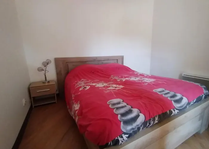 La Terrasse De Gassendi 아파트 디뉴레뱅